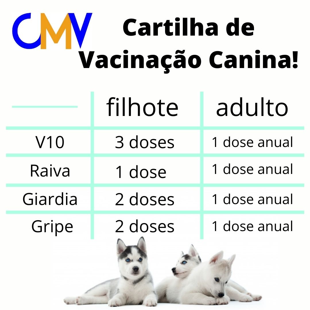 vacina cão (2).jpg