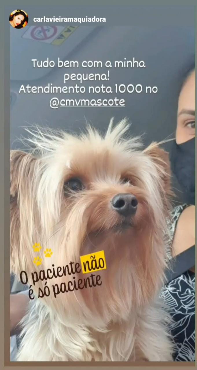 WhatsApp Image 2020-09-28 at 11.10.31.jpeg