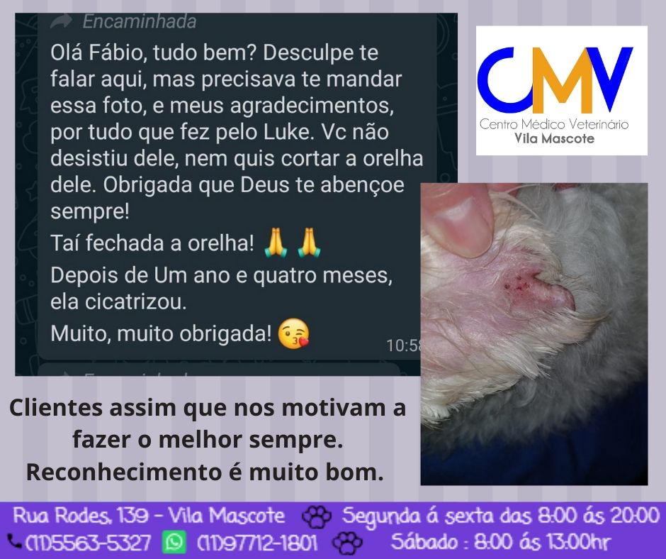 Adicionar um título.jpg