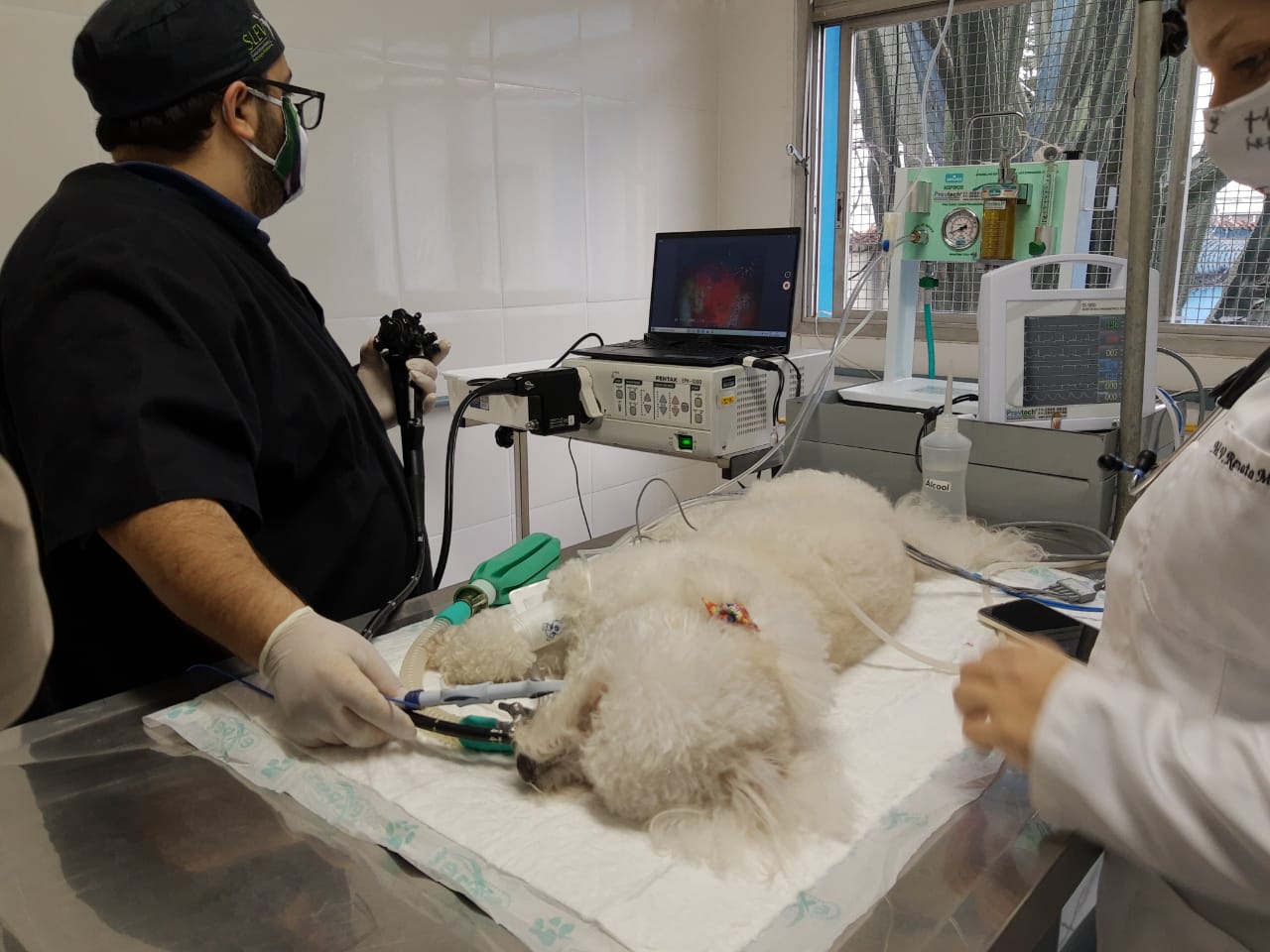 WhatsApp Image 2020-07-15 at 08.05.22.jpeg