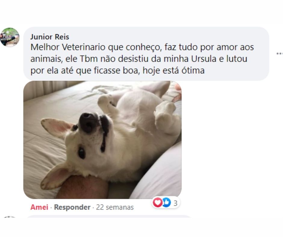 CLÍNICA VETERINÁRIA FINAL DO CORREDOR (2ª PORTA) A DIREITA! ATT_ (9).jpg